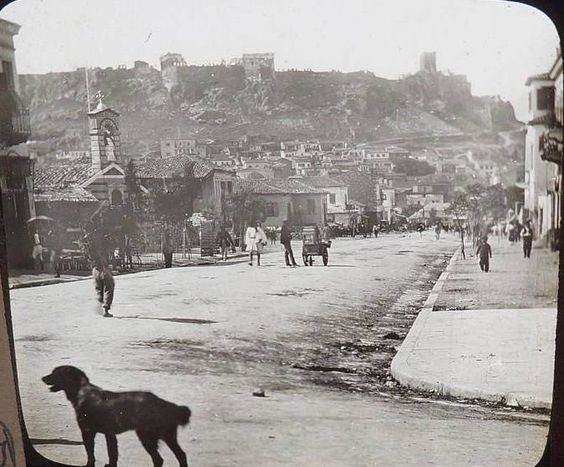 Πώς βγήκε η έκφραση «κομματόσκυλα» και τι ρόλο έπαιξαν τα σκυλάκια «σαλονιού»