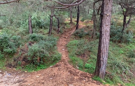 Υμηττός: Απαγορεύεται η κυκλοφορία την Πέμπτη 8 Ιουλίου λόγω μεγάλου κινδύνου πυρκαγιάς