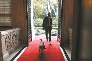 Τα στερεότυπα και το ηθικό πλεονέκτημα