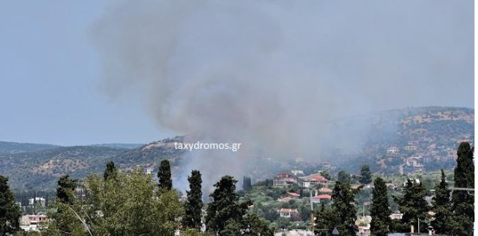 Φωτιά στον Βόλο – Μεγάλη κινητοποίηση της πυροσβεστικής