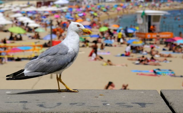 Ισπανία: Στους 44 βαθμούς την Κυριακή το θερμόμετρο