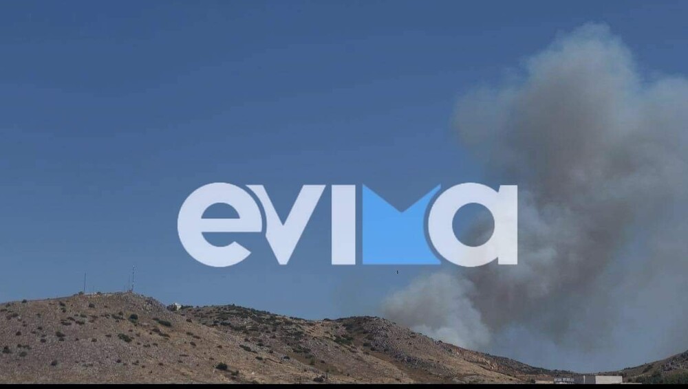 Χαλκίδα: Φωτιά κοντά σε κατοικημένη περιοχή