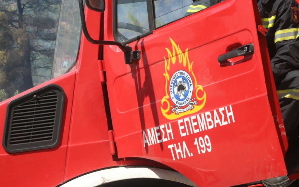 Πυρκαγιά σε δασική έκταση στον Αυλώνα Αττικής