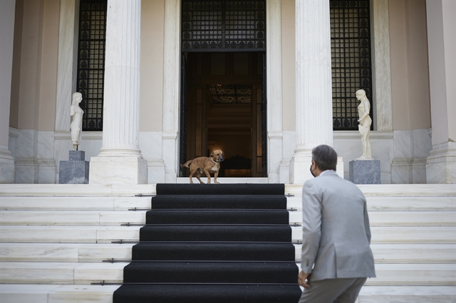 Σε τροχιά ανάκαμψης και… εκλογών