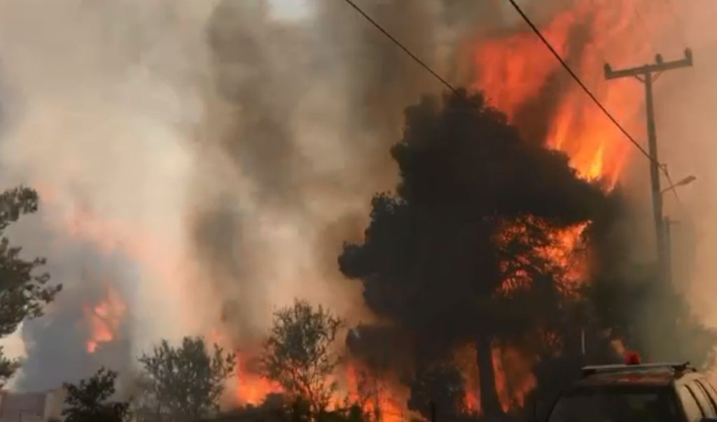 Φωτιά στη Σταμάτα: Συναγερμός στην Πυροσβεστική – «Δίνουμε μάχη για τα σπίτια, προσπαθούμε να σώσουμε τον κόσμο»