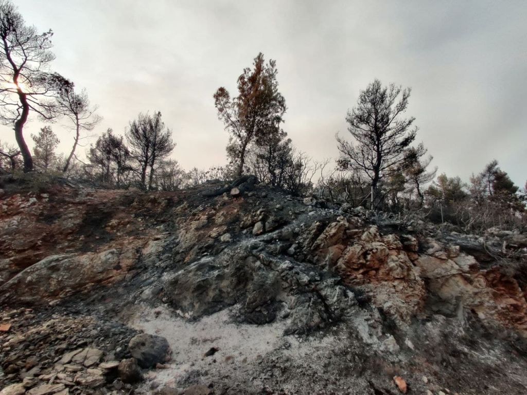 Περπατώντας στις στάχτες – Συνεχίζεται το οδοιπορικό στην Αττική
