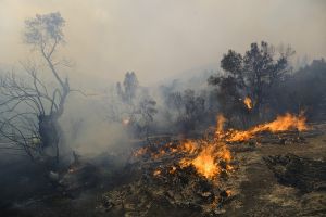 Φωτιά στη Μάνη – Συνεχείς οι αναζωπυρώσεις τη νύχτα, ξεκίνησαν να επιχειρούν τα εναέρια μέσα