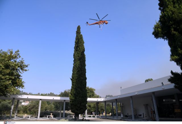 Φωτιά στην Αρχαία Ολυμπία – «Ο αρχαιολογικός χώρος δεν έχει υποστεί καμία αλλοίωση» λέει η Μενδώνη