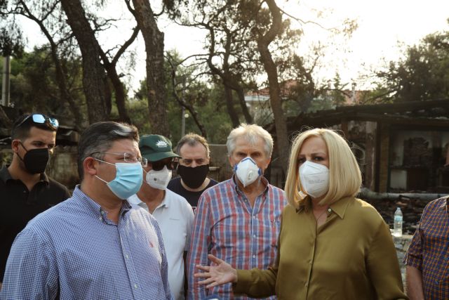 Γεννηματά – Ζήτησε ενημέρωση από τον αρχηγό της Πυροσβεστικής