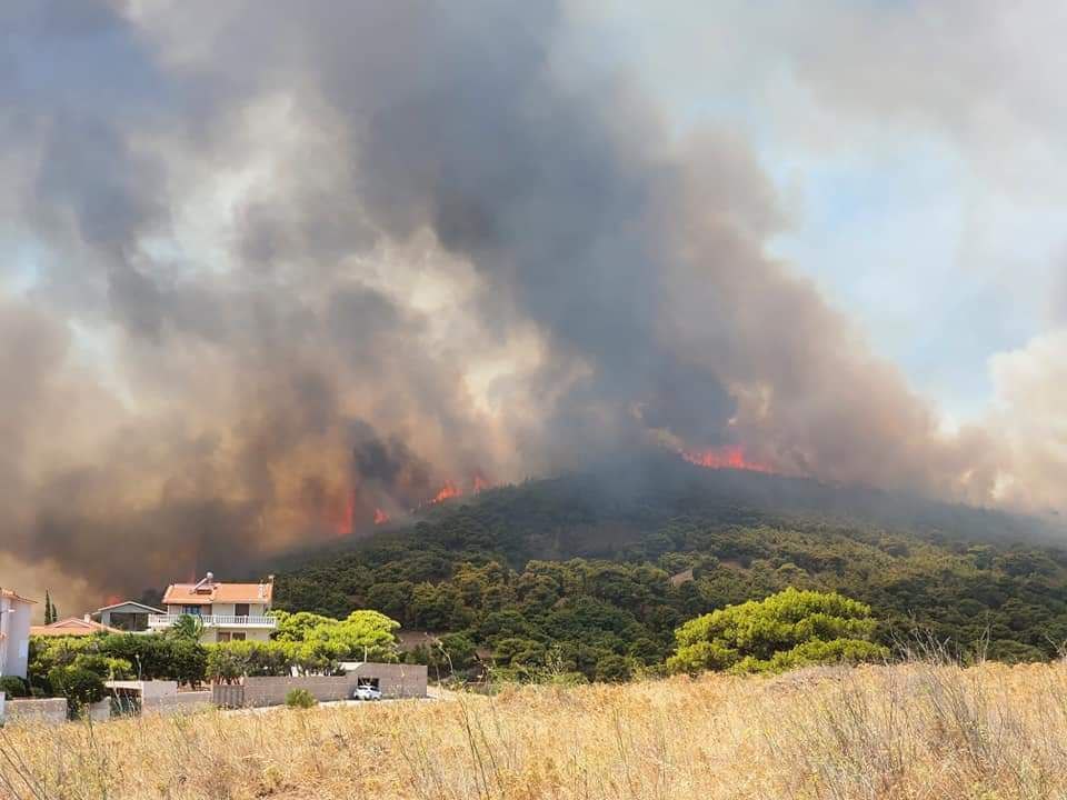 Δήμαρχος Σαρωνικού στο MEGA – «Αν περάσει η φωτιά στην κάτω πλευρά του δρόμου θα φτάσει στο Σούνιο»