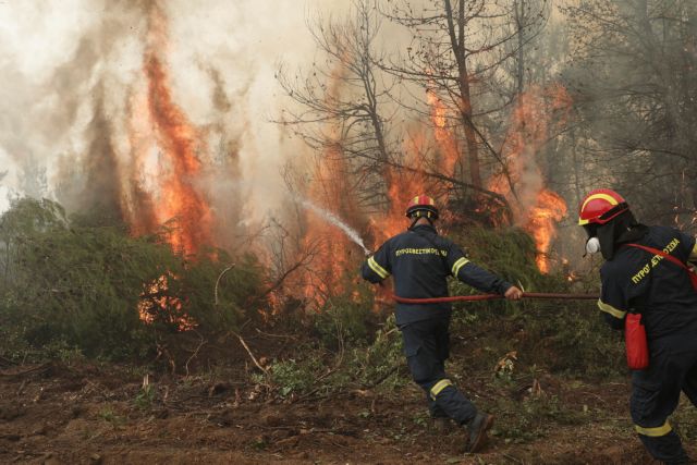 Φωτιές – Μέτρα πρόληψης ζητούν 63.000 πολίτες μέσω επιστολής της WWF
