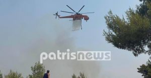 Φωτιά στην Αρχαία Ολυμπία – Μάχη με τις αναζωπυρώσεις σε Δούκα, Λάσδικα και Λάλα