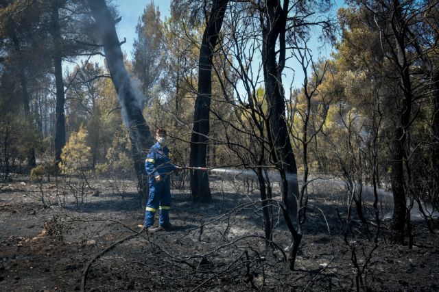 Φωτιά στα Βίλια – Κοντά στους οικισμούς Παλαιοχώρι και Θέα οι φλόγες