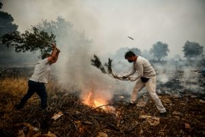 Φωτιά στα Βίλια – Μετά τη δύση του ηλίου θα κοπάσουν οι άνεμοι στην περιοχή
