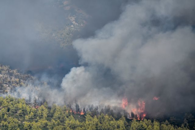 Βίλια – Μάχη με τις φλόγες σε μέτωπο 20 χιλιομέτρων – Καίγεται πυκνό πευκοδάσος