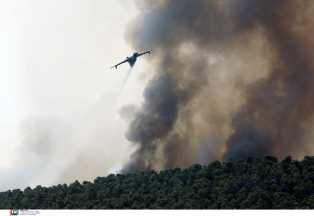 Βίλια – Δύο ακόμα μέρες θα καίει η φωτιά εκτιμά ο πρόεδρος των πυροσβεστών – Τι είπε για τα κρούσματα κοροναϊού στο σώμα