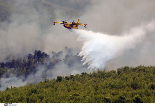Μπόκαρης για φωτιές – Χάθηκαν πνεύμονες πρασίνου – Μεγάλες επιπτώσεις σε κλίμα, οικονομία