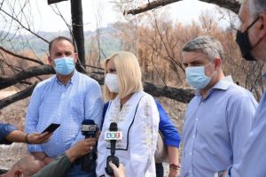 Γεννηματά από Γορτυνία – «Αποδείχθηκε η ανικανότητα του επιτελικού κράτους του κ. Μητσοτάκη»