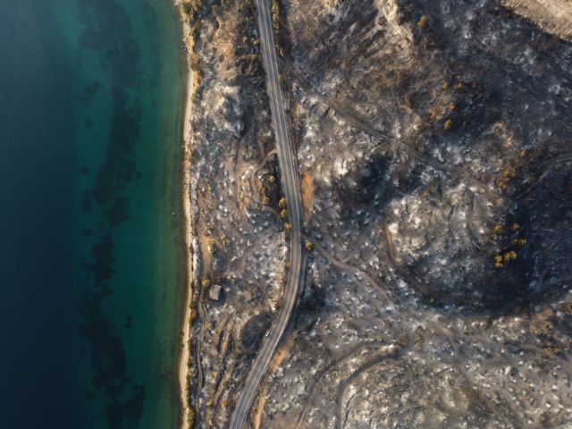 Σκρέκας – Αναδασωτέες κηρύσσονται μέσα σε 30 μέρες οι περιοχές που κάηκαν