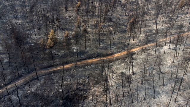 Φωτιές – Αυξημένη κατά 450% η καμένη έκταση στην Ελλάδα – 26% αύξηση του αριθμού των πυρκαγιών
