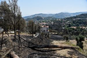 Αχαΐα – Σε κατάσταση έκτακτης ανάγκης οι πυρόπληκτες περιοχές των Δήμων Πατρέων κι Αιγιάλειας