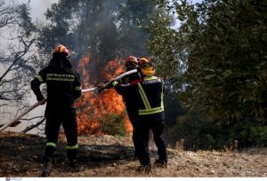 Φωτιά στα Βίλια – Εκκενώνονται και οι οικισμοί Αγία Παρασκευή και Κρύο Πηγάδι