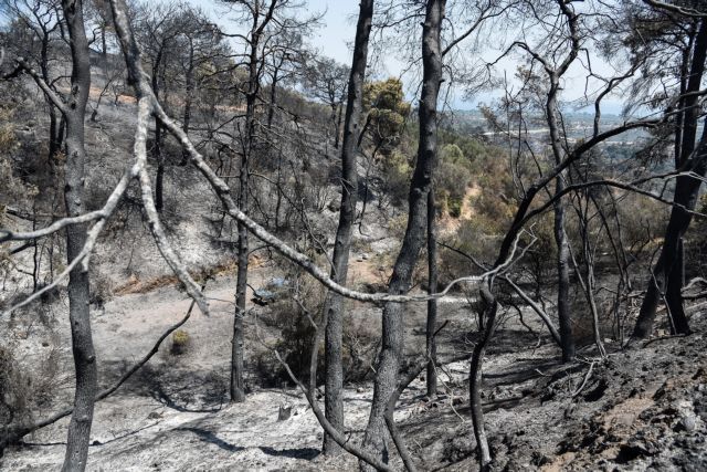 Καμπανάκι Σαρηγιάννη – Τα σωματίδια από τις φωτιές θα αιωρούνται εως και 10 μέρες ακόμη