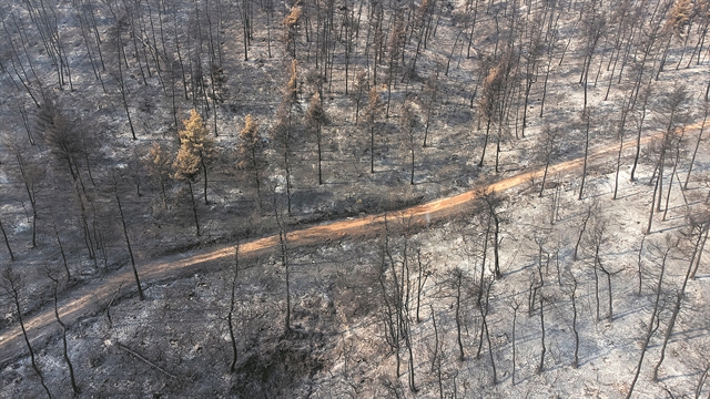 «Καταστράφηκαν ολοσχερώς 550 οικογένειες»