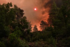 Κραυγές αγωνίας από τους κατοίκους της Εύβοιας – Καταγγελίες για απουσία εναέριων μέσων
