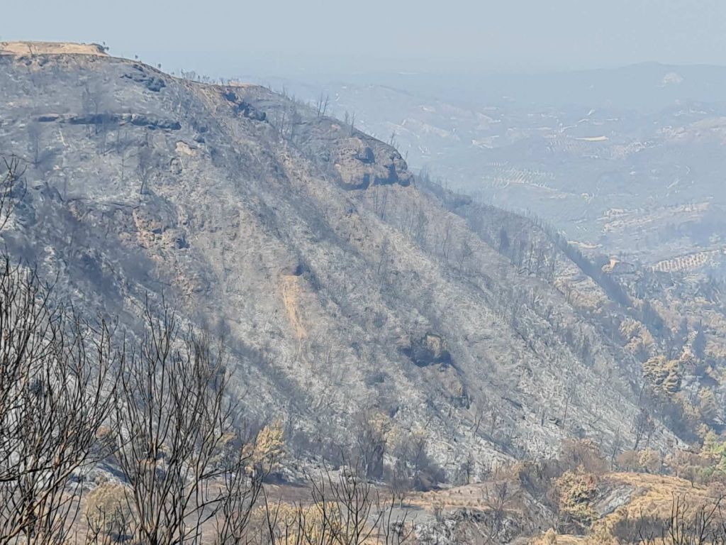 Λέκκας για τις φωτιές – «Σχεδόν μη αναστρέψιμες οι περιβαλλοντικές επιπτώσεις των πυρκαγιών»
