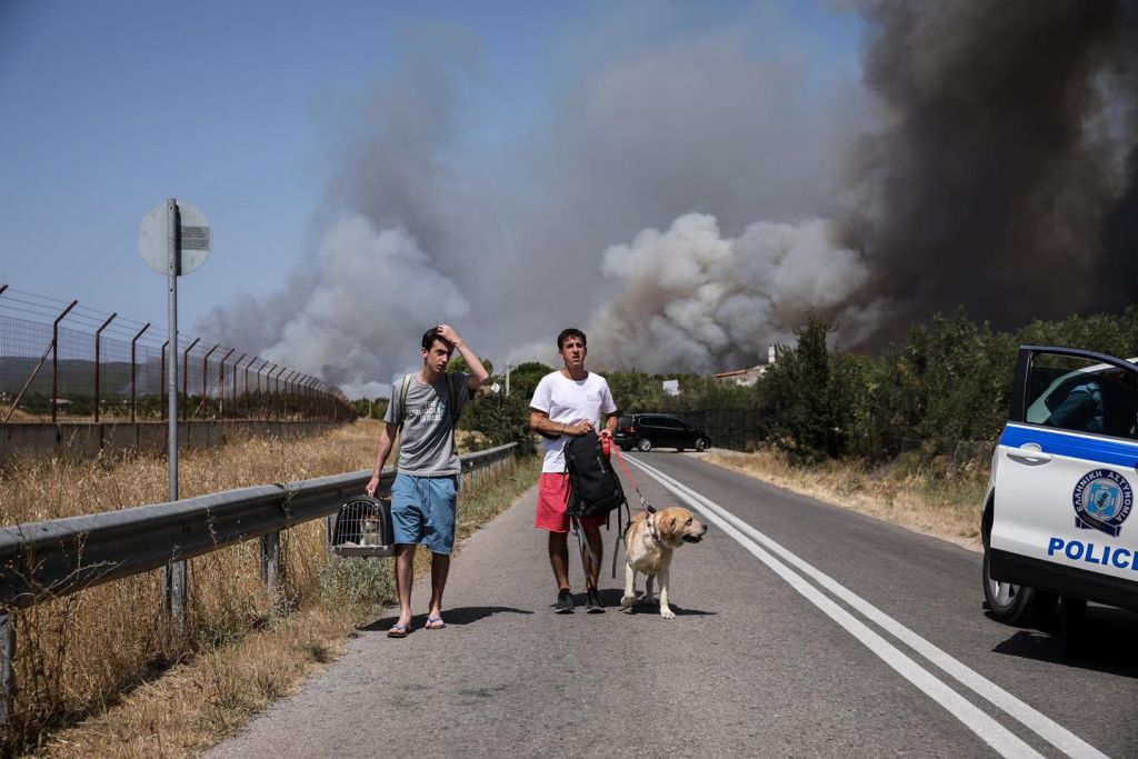 Συγκινούν οι προσπάθειες πυροσβεστών και κατοίκων να σώσουν ζωάκια της περιοχής