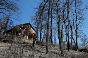 Φωτιές – Πώς γιγαντώθηκε ο «πύρινος στρόβιλος» που κατέκαψε την Αττική  – Τι λέει ειδικός