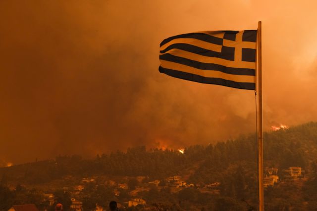 Λέκκας για φωτιές – Σε μία δεκαετία θα μπορέσουν να ανακάμψουν οι καμένες περιοχές