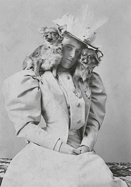 Οταν οι συγγραφείς θρηνούν τα κατοικίδιά τους