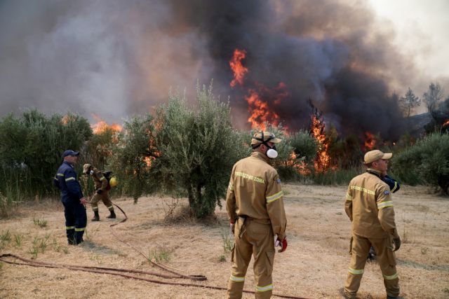 Νέο πύρινο μέτωπο στην Ηλεία – Πυρκαγιά στη Ζαχάρω
