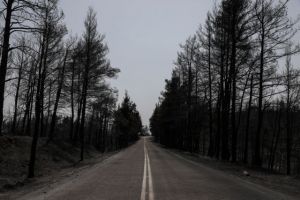 Εύβοια – Διπλασιάζει ο ΟΑΕΔ τη διάρκεια διακοπών κοινωνικού τουρισμού στους πυρόπληκτους δήμους