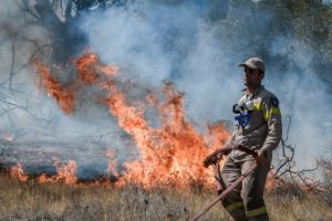 Χρυσοχοΐδης – Βελτιωμένη η κατάσταση στη Λαυρεωτική