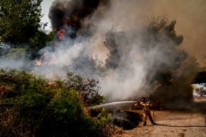 Συλλήψεις για εμπρησμό σε Φωκίδα, Καλαμάτα και Κρυονέρι