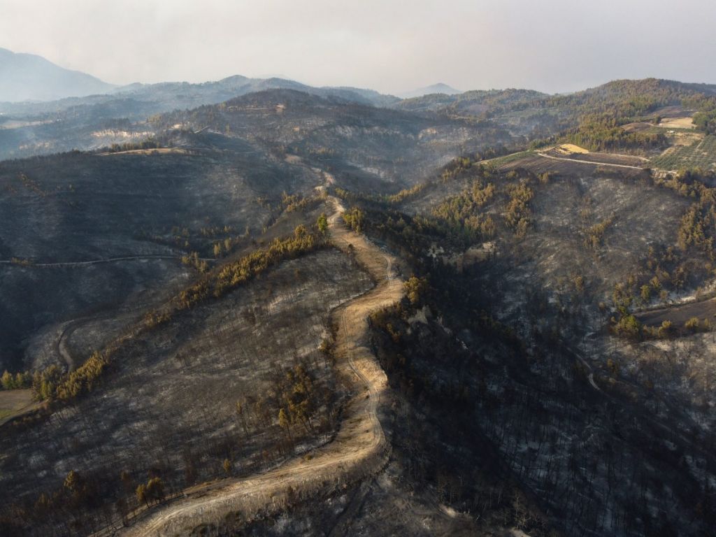 Φωτιά στην Εύβοια – Η περιοχή «κάηκε επίτηδες» λέει ο πρόεδρος της Κοινότητας Ροβιών