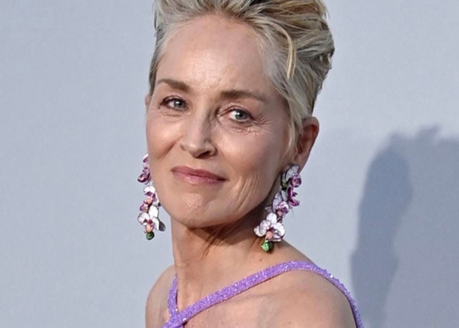 Σάρον Στόουν – Βαρύ πένθος για την ηθοποιό – Πέθανε ο 11 μηνών ανιψιός της