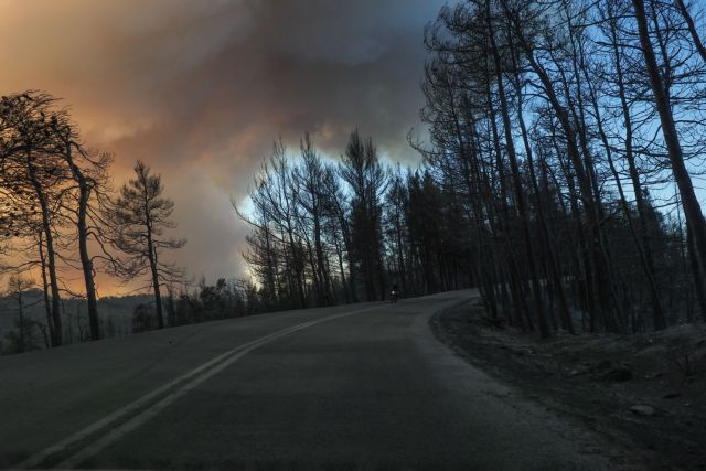 Φωτιά στην Εύβοια – «Αν δεν έρθουν εναέρια μέσα, θα καούμε ζωντανοί» – Ύστατη έκκληση των κατοίκων