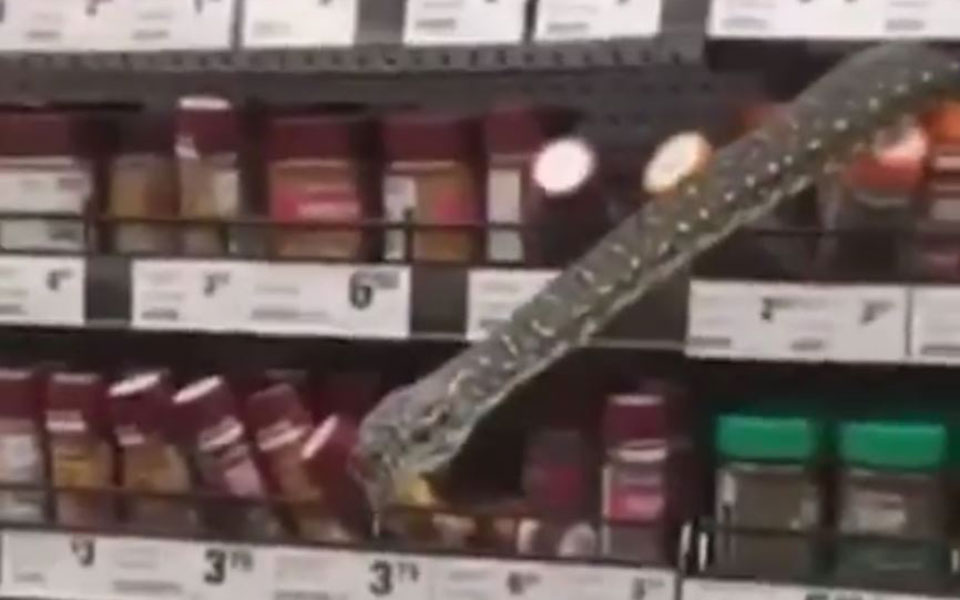 Τρόμος σε σουπερμάρκετ – Πετάχτηκε φίδι από το ράφι – Δείτε το βίντεο
