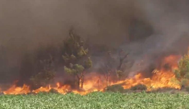 Σπίρτζης για φωτιές – «Γιατί δεν πετά το Beriev στις δύο περιοχές;