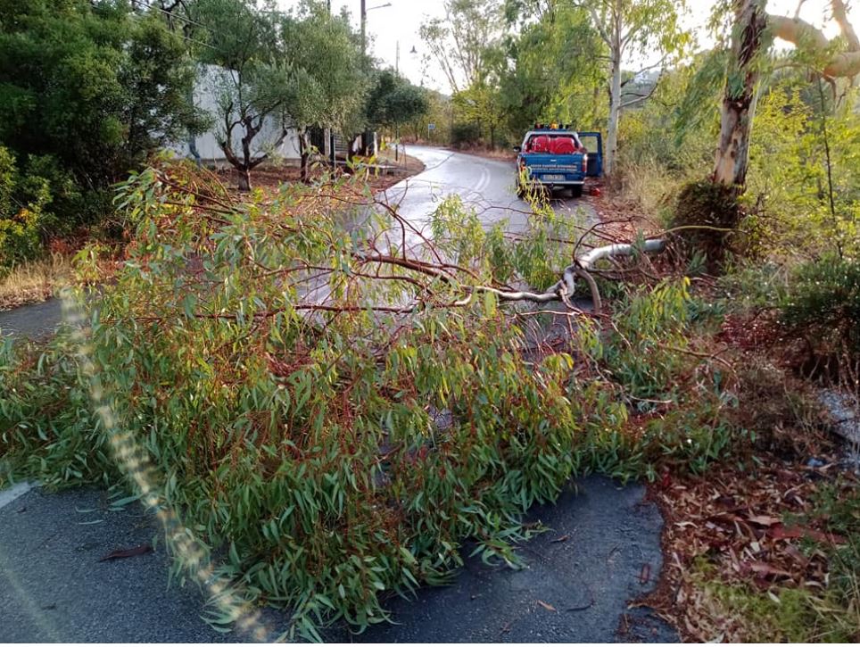 Κακοκαιρία – «Σάρωσε» Πρέβεζα, Θεσπρωτία, Άρτα, Γιάννενα, Tρίκαλα, Μαγνησία