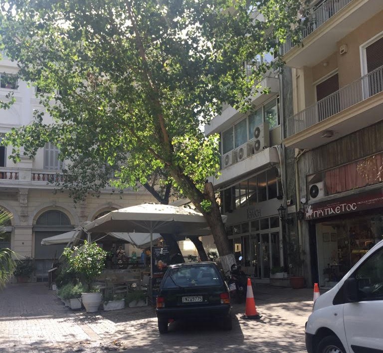 Αθήνα – Το δέντρο που… τρομοκράτησε Πάιατ και Μενέντεζ – Νέες φωτογραφίες