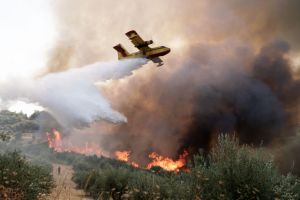 Φωτιά στην Ηλεία – Εντοπίστηκε ύποπτος για εμπρησμό