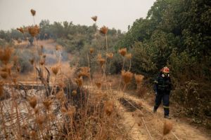 Φωτιά στην Εύβοια – Πιθανότητα βροχής την Τετάρτη