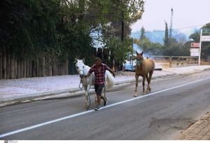Εκκενώθηκαν όλοι οι ιππικοί όμιλοι στην Βαρυμπόμπη – Μεταφέρθηκαν ασφαλή όλα τα άλογα