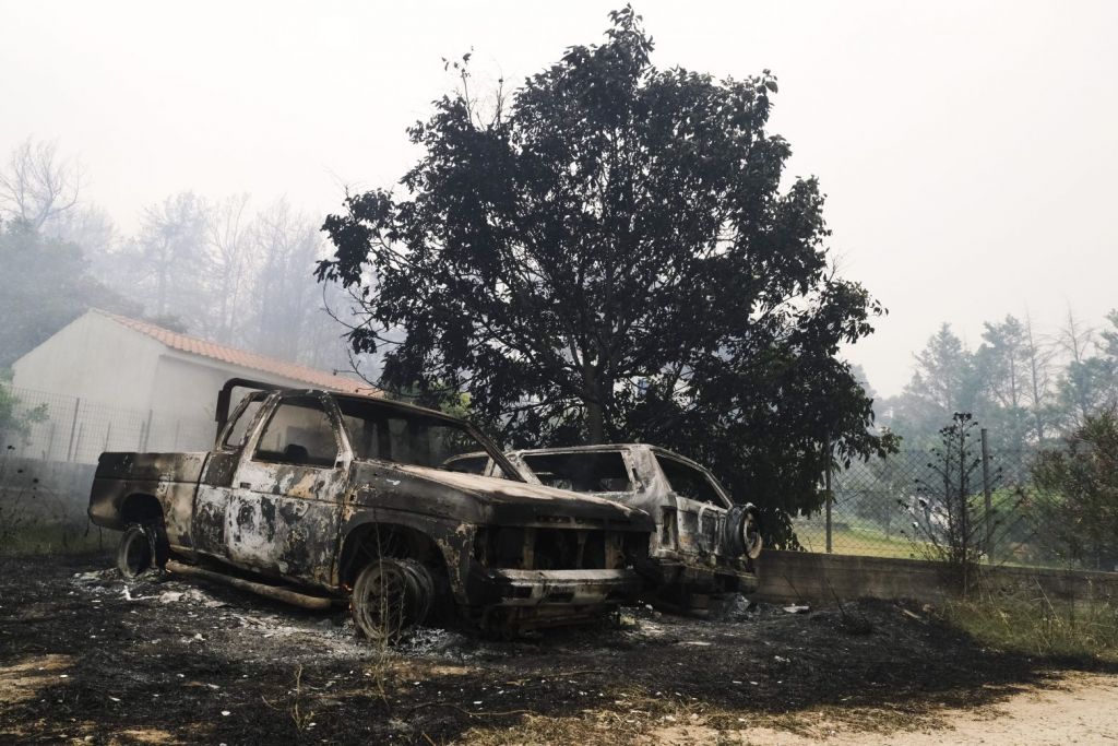 Οι δασολόγοι του ΑΠΘ εισηγούνται άμεσα μέτρα
