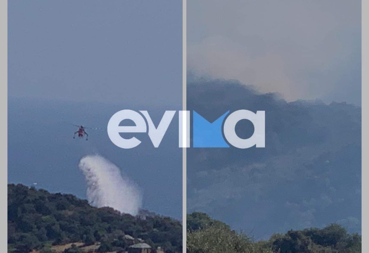 Εύβοια - Υπό έλεγχο η φωτιά στις Πετριές - Παραμένουν ...